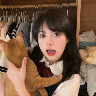 波尔日记封面